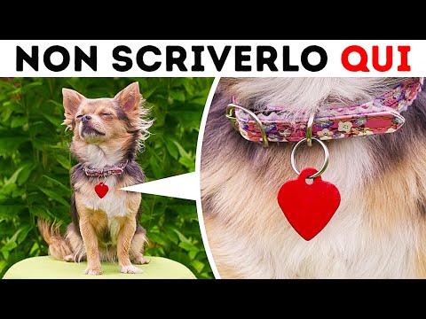 Non Permettere A Nessuno Di Fotografare Il Tuo Cane