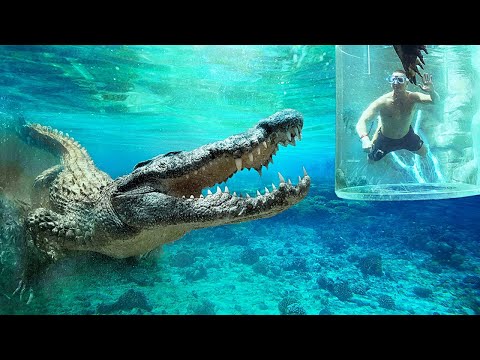 Piscine Che Non Ti Aiuteranno a Superare la Paura dell’Acqua