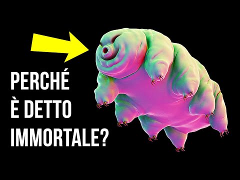 34 Curiosità Che Non Potrai Più Dimenticare