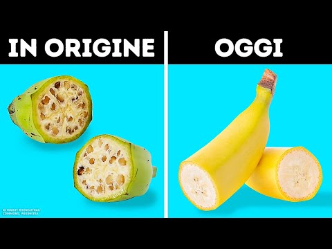 16 Alimenti Che Sono Cambiati Drasticamente Col Tempo