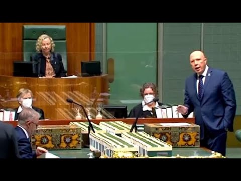 Australia, leader opposizione si rivolge al maschile alla presidente della Camera, lei lo…