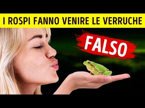 Ce la Farai a Totalizzare 17/17 in Questo Quiz sugli Animali?