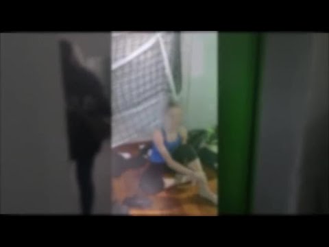 Abusi sulle ginnaste, le immagini dalla palestra di Calcinato