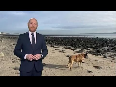 Conduttore meteo Bbc ricorda il suo cane in onda: ondata di affetto da parte dei telespettatori