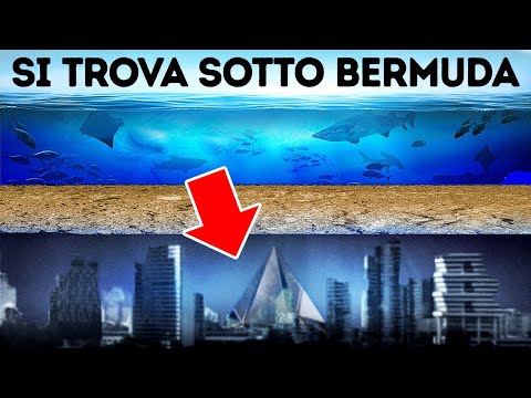 Cosa C’è Davvero Sotto Il Triangolo Delle Bermuda