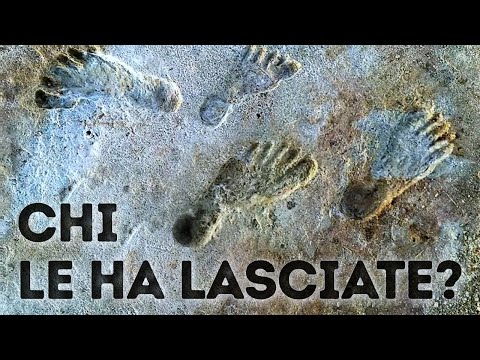 Queste Impronte Preistoriche Hanno Rivoluzionato La Storia
