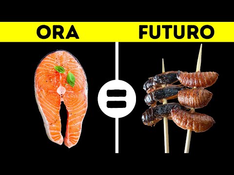 Preparati a mangiare gli insetti // Il futuro dell’agricoltura