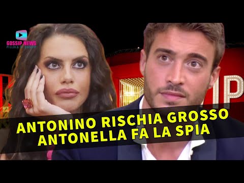 Gf Vip: Antonino Nei Guai, Antonella Rivela Tutto!
