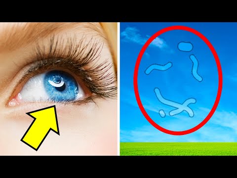 85 Curiosità Sul Corpo Umano Per Impressionare Il Prof. Di Biologia