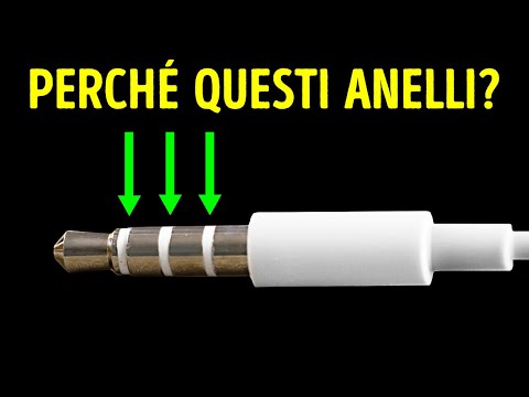 50 Risposte Ai Grandi “Perché?” Di Tutti I Giorni!