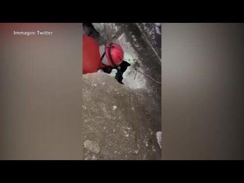 Terremoto in  Turchia, neonato salvato dalle macerie dopo 120 ore