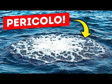 Se Vedi Queste Bolle, Dattela a Gambe nel Giro di Qualche Secondo