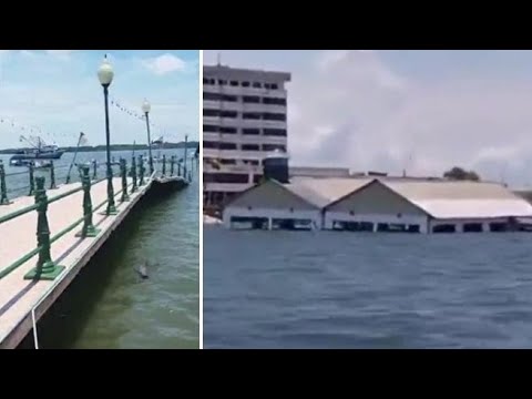 La scossa di terremoto in Ecuador fa affondare il museo marino di Machala: ospitava 5.000…