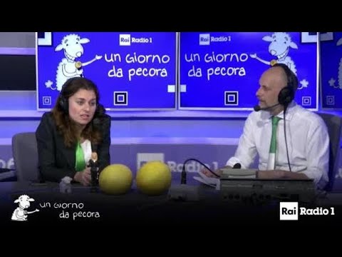 Susanna Ceccardi ad un giorno da pecora