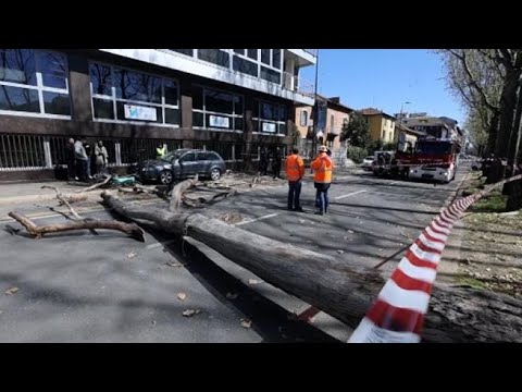 Forte vento a Milano: caduti alberi e tegole