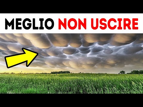 100 consigli per situazioni in cui la rapidità di esecuzione è importante