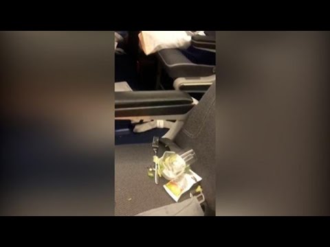 Turbolenze su un volo Lufthansa negli Usa: cosa resta sull’aereo dopo il caos