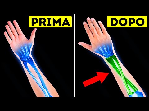 Oltre 100 Curiosità sul Corpo Umano che Mi Hanno Lasciato di Stucco