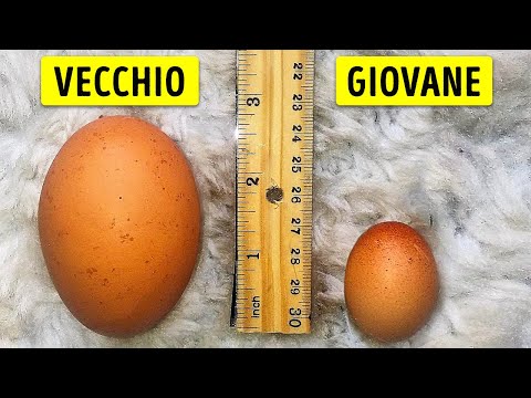 Confronti Visivi che Mostrano Come il Tempo Influisce sulle Cose