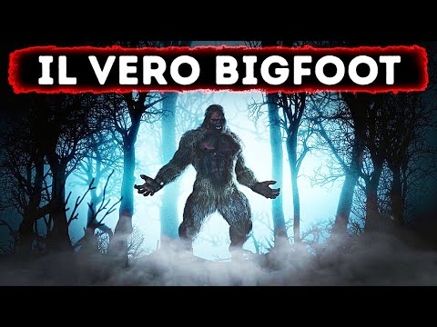 4 Incredibili Incontri con il Bigfoot || Abbiamo le Prove?
