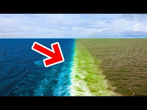 Accesso esclusivo: i Migliori Video che Molto Probabilmente non hai Visto