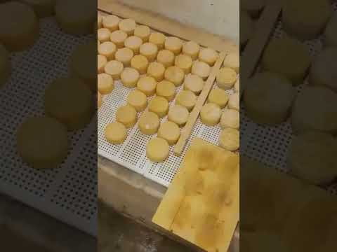 I Fatti più Inaspettati #shorts