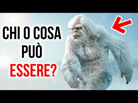 Gli Scienziati Hanno Finalmente Svelato Il Mistero Dello Yeti