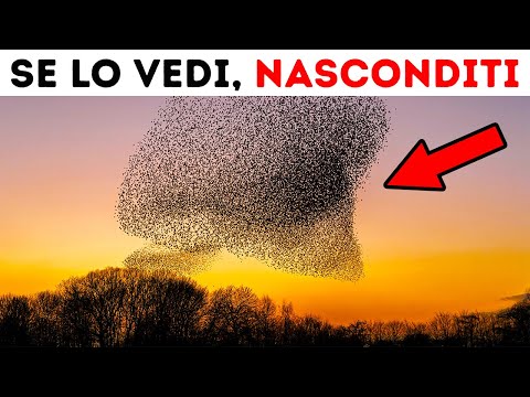 Se Osservi Questo Fenomeno in Cielo, Cerca Riparo