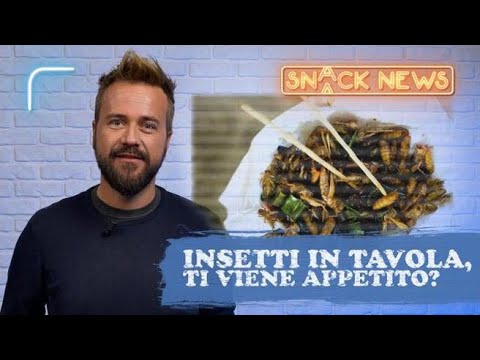 Gli insetti ci saltano in tavola, ma perché c’è questa corsa alle nuove farine?