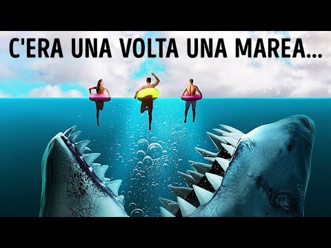 Oltre 10 Fatti Terrificanti Sui Megalodonti E I Suoi Incontri Ravvicinati Con Gli Umani