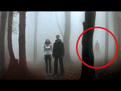 Le Persone Hanno Vuoti di Memoria Dopo aver Visitato questa Foresta