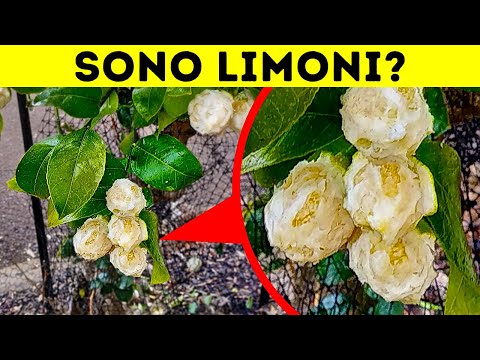 15 Splendide Immagini Che Mostrano Perché Ogni Paese Unico È Nel Suo Genere