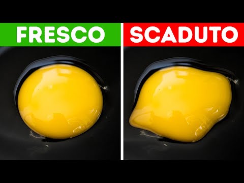 28 Consigli per far Scorrere la Vostra Vita senza Intoppi