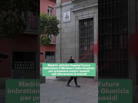 Gli attivisti di Vegetal Future imbrattano il Ministero della Giustizia a Madrid