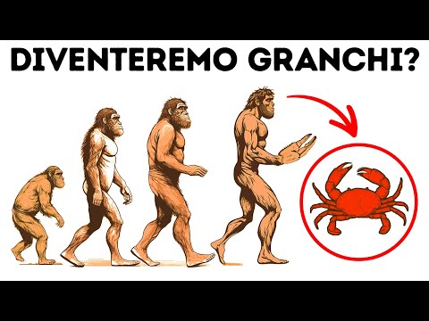 Perché l’Evoluzione Trasforma Tutto in Granchi