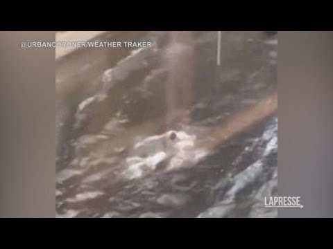 Usa, pioggia torrenziale in Florida: uomo nuota in strada tra le auto