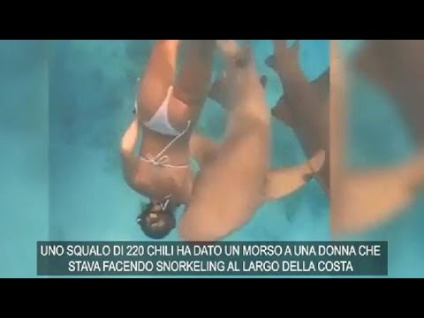 Fa snorkeling alle Maldive, morsa da uno squalo: ferita di 15 centimetri