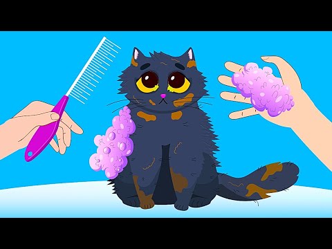 ASMR Un Gatto Randagio Viene Salvato e si fa un Bel Bagnetto