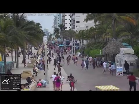 Sparatoria sul lungomare di Hollywood: 9 feriti tra adulti e bambini
