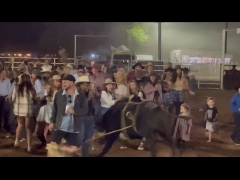 Toro in fuga si butta sulla folla danzante: due feriti al rodeo di Kununurra