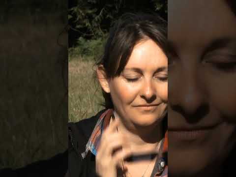 Eclissi Solari  6 #shorts