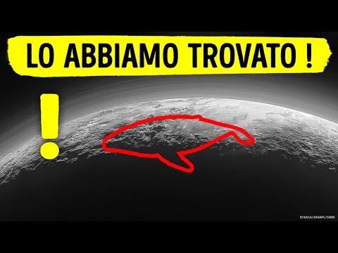 Fatti Epici sullo Spazio che ti Faranno Riflettere sulla Possibilità che Siano altre Forme di Vita