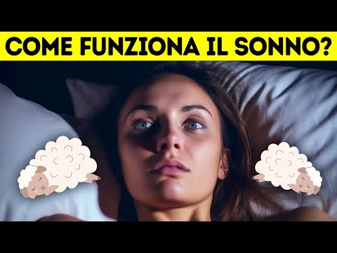 Perché Addormentarsi all’Istante Non È una Buona Cosa