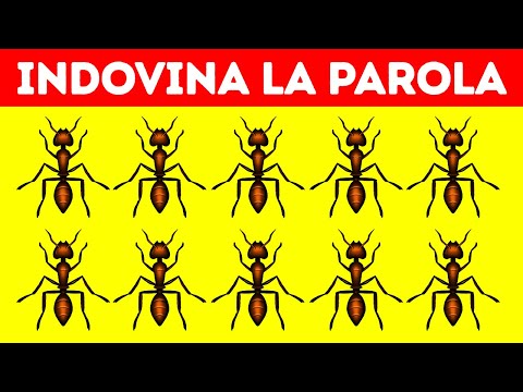 Indovinelli Visivi che Funzionano Meglio di un Sonnellino Energetico