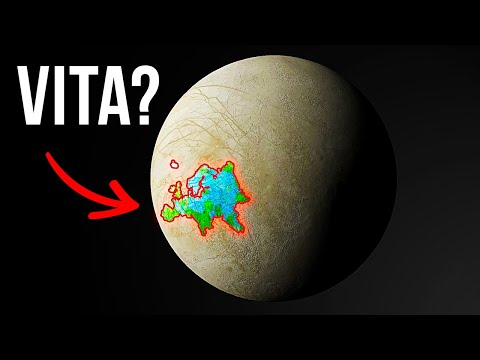 La Vita Potrebbe Esistere Su Una Delle Lune Di Giove, Pensano Gli Astronomi
