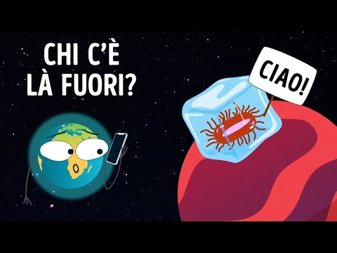 Creature Ultraterrene Potrebbero Aver Prodotto Questo Rumore