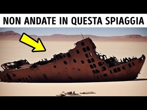 500 Relitti e 11 Specie di Squali: Non Visitate Mai questa Spiaggia