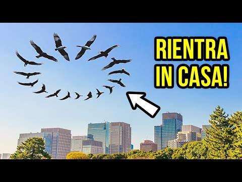 Se Vedi questo In Cielo, Mettiti Subito Al Riparo