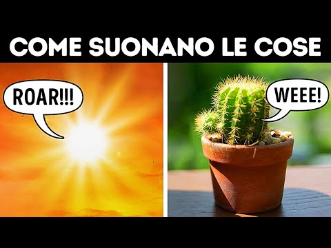 Il Vostro Cactus vi Urla Contro + Altri Suoni che Non Potete Sentire
