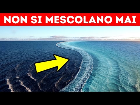 Perché l’Oceano Atlantico e l’Oceano Pacifico Non si Mescolano